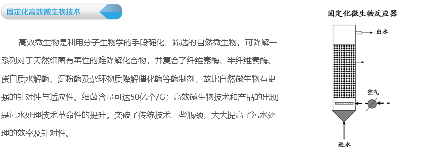 1525243775420828.jpg 01.jpg