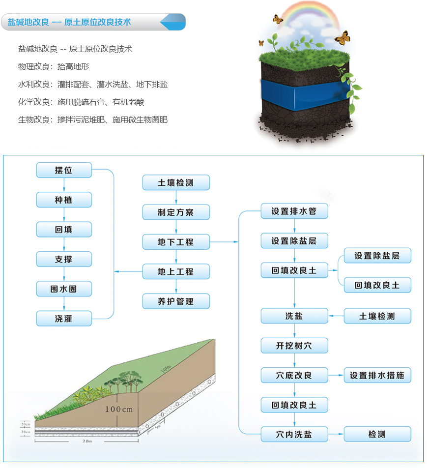 1525247182203299.jpg 08.jpg